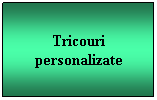 Text Box: Tricouri personalizate
