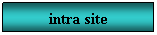 Text Box: intra site
